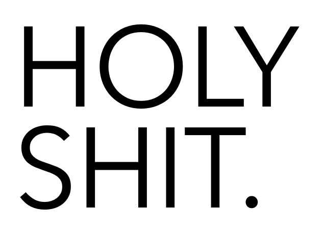 holy shit logo